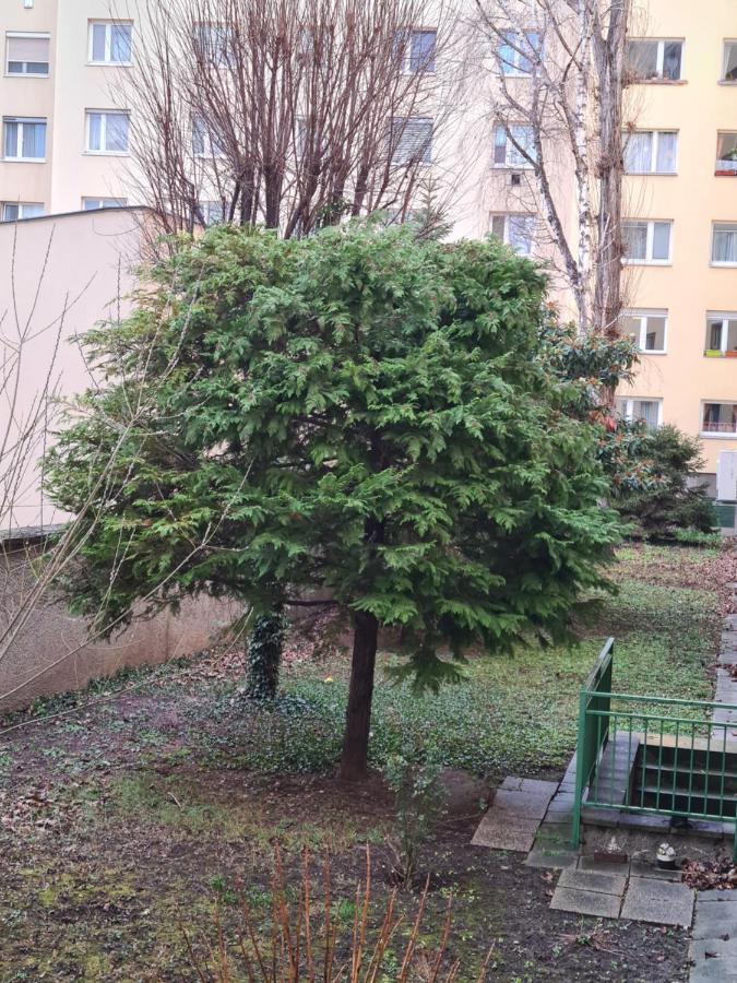 Apartment Ismens Wien Eksteriør billede